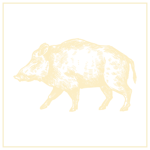 WILDSCHWEIN